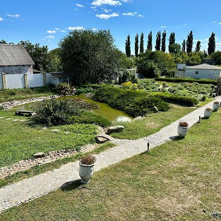 Maison Blanche Ecohousе Mytnitsa المظهر الخارجي الصورة
